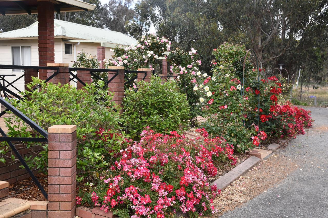 Mount Barker Valley Views Motel & Chalets, Western Australia Exteriör bild