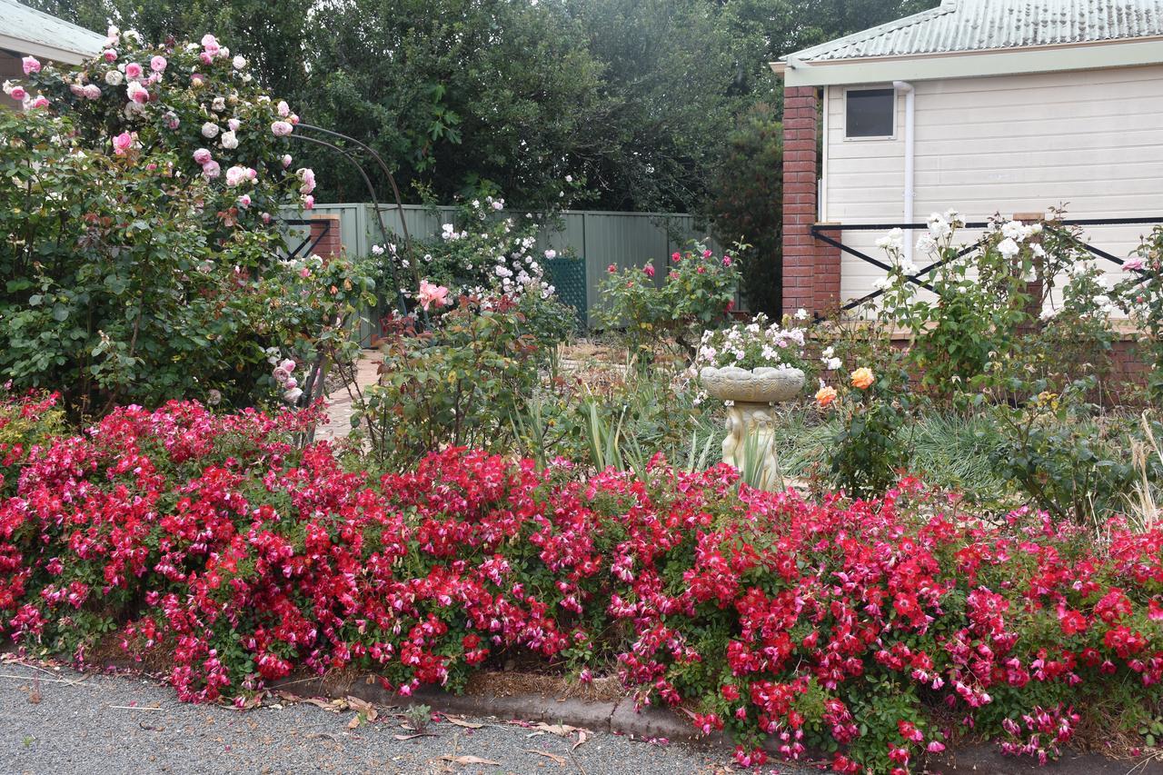 Mount Barker Valley Views Motel & Chalets, Western Australia Exteriör bild